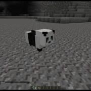 Example Of The Mini Pet API