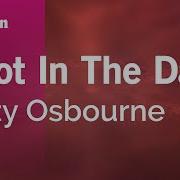 Shot In The Dark Ozzy Osbourne Karaoke Version KaraFun