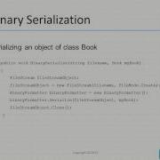 Binary Serialization