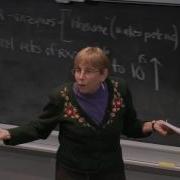 5 Enzymes And Catalysis