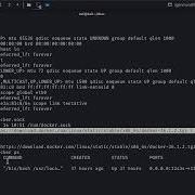 Classic Docker Escape