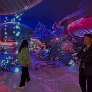 CAVE Immersive Experience Area