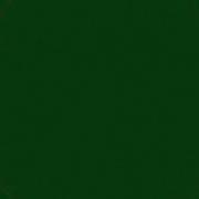 SHOCK WAVE Green Screen 5