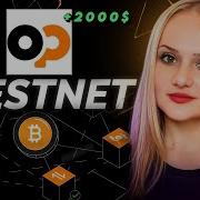 OPNET TESTNET Полный Гайд Как Заработать на Airdrop