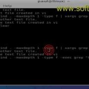 Difference Between Exec And Xargs In Unix