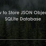 How To Store JSON Object In SQLite Database