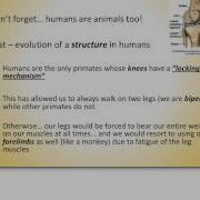 Evolution Of Behavior