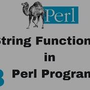 Perl Script Basic Tutorial 18 Functions String
