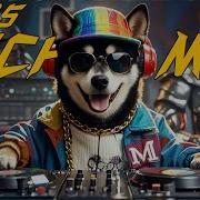 EPIC Music FUSION Electric Violin Joins Metal And Chorus EDM Mix 2025 Mashups Remix House Music