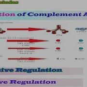 Regulation Of Complement System Activation