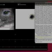 How To Use FaceMap Unsupervised Rodent Behavior Analysis