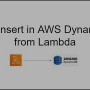 Data Insert In Aws Dynamodb From Lambda