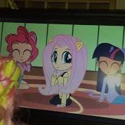 Fluttershy Is Reacting To FluttERR MLH Mlp Daisy Dreams