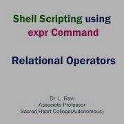 Shell Scripting Demonstration Performing Relational Operations With The Expr Command
