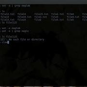 Setting Shell Options In Linux Braceexpand Notify Allexport History Noclobber Noglob Etc