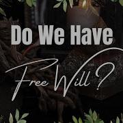 Lets Discuss Free Will The Occult Domination