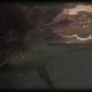 Python Attacks Alligator 01 Stock Footage