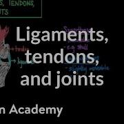Ligaments Tendons And Joints Muscular Skeletal System Physiology NCLEX RN Khan Academy