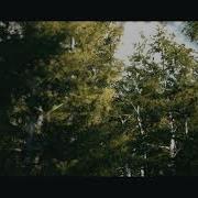 Deckard Capture Of Forest Environment In Unity