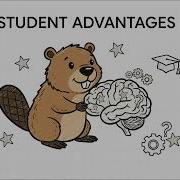 The Garibaldi School Bebras Challenge Explained