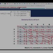 Section 9 Part 3 Sequence Alignment Needleman Wunsch
