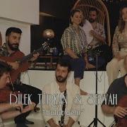 Dilek Türkan Ft Seyyah Bulut Gelir