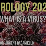 Virology Lectures 2021 1 What Is A Virus