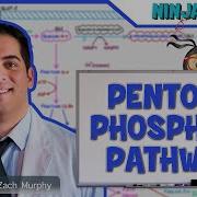 Metabolism Pentose Phosphate Pathway