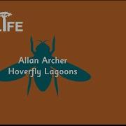 Talk Wildlife Hoverfly Lagoons With Allan Archer