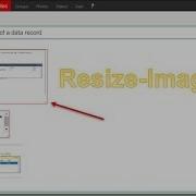 Javasript Resizable Border On Images Resize Images Dynamically