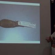 BITC Data Capture Workflows Large 3D Specimens 2