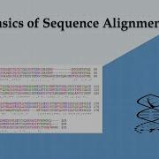 Basics Of Sequence Alignment Sequence Alignment Bioinformatics DynamicProgramming