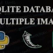 Upload Multiple Image With SQLite Database Using Flask Tamil