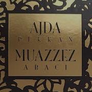 Ajda Pekkan Kaderimde Hep Güzeli Aradım 2014 CD Ripoff
