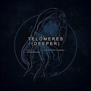 Sleep Token Telomeres Deeper