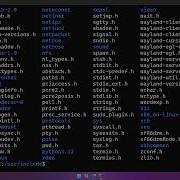 What S Inside Stdio H Why We Include It At The Top Of C Programs