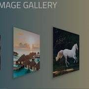 How To Create 3D Image Gallery Using HTML CSS Only CSS 3D Animation Effects