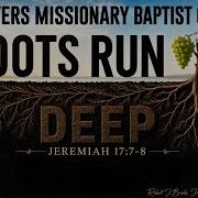 Roots Run Deep