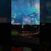 How To Get The Full Shadow Set In Maneater