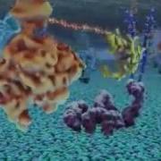The Inner Life Of The Cell 2006 Harvard Biology