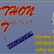 Pythno Bot Project Controlling Chrome By Python