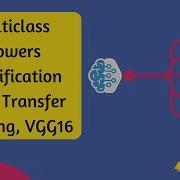Deep Learning Tutorial 5 Multiclass Flowers Classification Using VGG16 With Transfer Learning
