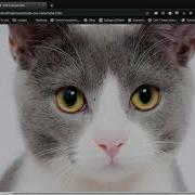 HTML CSS With Git