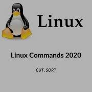 Linux Command Cut Sort Cut Sort Command Full Details Cut Sort Commands Linux Commands 2020