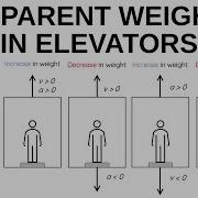 Scale In Elevator Physics Problems Apparent Weight HSC Physics