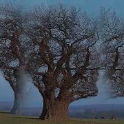 Pink Floyd Marooned 800 Slower Music