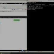 OWASP OWTF Botnet Mode