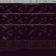 Installing MySQL From Shell Scripting In Linux Ubuntu And Performing Initial SQL Commands