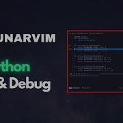 LunarVim Debugging Testing Python Setup