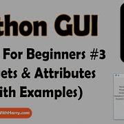 Tkinter Widgets Attributes Python Tkinter GUI Tutorial In Hindi 3